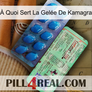 À Quoi Sert La Gelée De Kamagra new02
